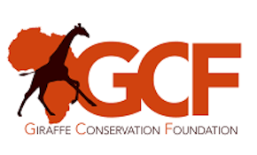 Giraffe Conservation Foundation (GCF) 