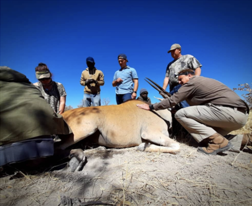 More information on the BRC